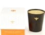 Paddywax Journey Of The Bee 14-Ounce Glass Candle, Orange Blossom