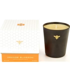 Paddywax Journey Of The Bee 14-Ounce Glass Candle, Orange Blossom by Paddywax