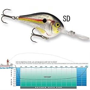 Dives To 16 Shad by
