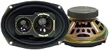 6'' x 9'' 300 Watts Three-Way Speakers