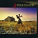 Pink-Floyd-A collection of great dance songs [VINYL] cd cover