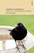 Consider the Blackbird
