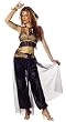 SeXy Belly Dancer Halloween Costume Middle Eastern Egyptian Dancer Arabian Womens SeXy Size L 10 12