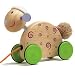 Pull Toy Woolly