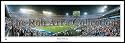 Indianapolis Colts 2007 Super Bowl Champions Stadium Panoramic Print (you choose frame and mat color)