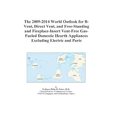 The 2009-2014 World Outlook for B-Vent, Direct Vent, and Free-Standing and Fireplace-Insert Vent-Free Gas-Fueled Domestic Hearth Appliances Excluding Electric and Parts