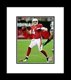 Arizona Cardinals Kevin Kolb 2011 Framed Picture 8x10