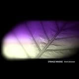 Strange Paradise