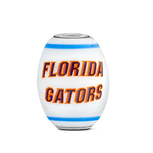 Florida Gators Large Glass Bead Fits Most European Style Bracelets