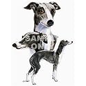 Italian Greyhound Desk Set