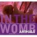 In the Womb: Animals