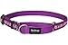 Red Dingo Designer Martingale Dog Collar, Small, Daisy Chain Purple