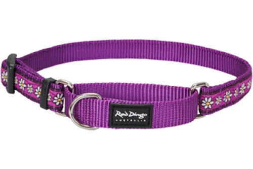 Red Dingo Designer Martingale Dog Collar, Small, Daisy Chain Purple