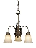 Vaxcel USA CH55503BBZ Yosemite 3 Light Rustic Chandelier Lighting Fixture in Bronze - Glass