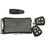 Clarion RK20 Remote Start/Keyless Entry