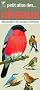 Petit atlas des oiseaux : Reconna�tre 80 oiseaux communs