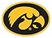 NCAA Siskiyou Sports Fan Shop Iowa Hawkeyes Logo Magnets 8 inch sheet Team Color