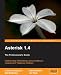 Asterisk 1.4 the Professionals Guide