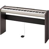 Musical Instruments : Casio PX120-CS Privia 88-Key Digital Piano with Stand and AC Adapter