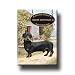 dachshund11 - Dachshund House Is Not A Home Fridge Magnet
