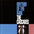 Rhythm Of The Rain (LP Version)