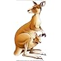 Kangaroo Peel N Place