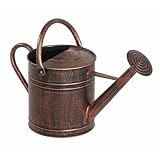 Ace Trading-h20 Cans Apex Wac6065 Bronze Watering Can by Living Accents