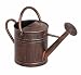 ACE Hardware-H20 CANS APEX WAC6065 "LIVING ACCENTS" WATERING CAN - 2 GALLON (PACK OF 4)