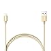 Lizone® 6ft USB Cable with Lightning Connector [Apple MFi Certified] for iPhone 6s 6s Plus 6 6 Plus 5s 5c 5, iPad Pro Mini Air iPad5, iPod and More (Nylon Braided-Gold)