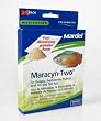 MARDEL FW MARACYN-2 PWDR 24 PK
