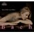 Bach