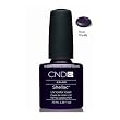Shellac Rock Royalty (New March 2011)