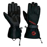 Review   / MAMMUT EXRTEME SIAM GTX GLOVE