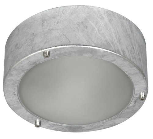 spécifications Ranex 5000.314 Applique / Plafonnier Extérieur Dublin Galva et Verre Dépoli