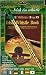 Musical Instruments : Waltons Irish Tin Whistle CD Pack