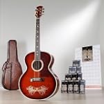 Esteban Amber Ice Jumbo Acoustic Electric Guitar Package w/ 10 DVDs and Accessories - Blem