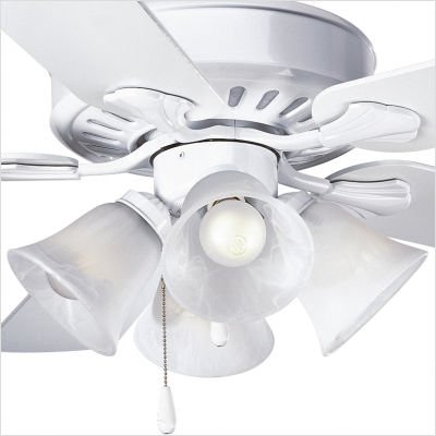 Best Price Ceiling Fan Light Kit Finish: White