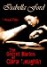 The Secret Diaries of Ciara Loughlin: Cardiff (Book One)