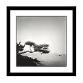 Two Branched Pine, Nakano Umi, Japan Framed Art by Rolfe Horn- 27.76x27.76"