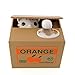 OliaDesign Cute Automatic Stealing Coin Money Box