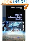 Impacts in Precambrian Shields