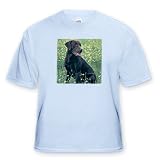 Chocolate Labrador Retriever - Toddler Light-Blue-T-Shirt (2T)