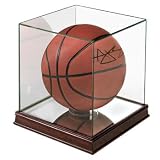 Basketball Display Case