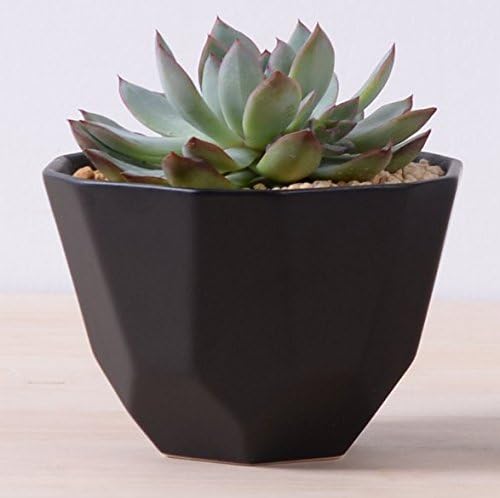 Succulent Pot, Herb Planter or Cactus Pot - Minimalist Beveled Pot - 4.9 x 3.3 x 6 inches - Indoor Outdoor Planter by Gander Lane - Black