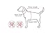 Puppia Soft Dog Harness No Choke Over-The-Head Triple Layered Breathable Mesh Adjustable Chest Belt and Quick-Release Buckle, Brown, Large