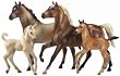 BREYER HORSES CLOUD CHALLENGE OF THE STALLIONS
