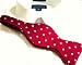 100% Woven Silk Red & White Self-Tie Polka Dot Bow Tie Nebraska / Oklahoma / Alabama College Tie