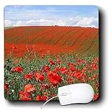 Flowers - Poppies - Mouse Pads