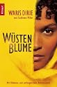 Wüstenblume