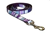 Medium Purple/Multi Stripe Dog Leash 3/4 wide 6ft Picture